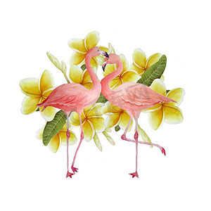 粉色浪漫元素摄影照片_两只粉红色的火烈鸟，浪漫的情侣爱上了黄色的鸡蛋花。