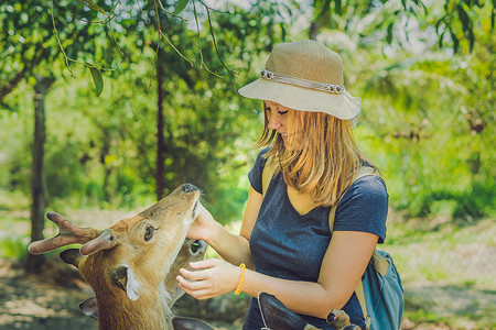 漂亮的鹿摄影照片_在热带动物园里，年轻女人用手喂养美丽的鹿