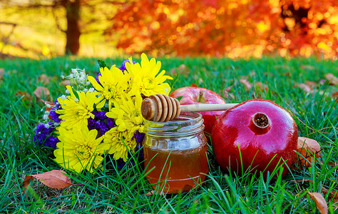犹太新年犹太节日概念-蜂蜜、苹果和石榴传统符号。