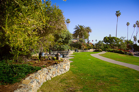 海斯勒公园，位于加利福尼亚州拉古纳海滩。