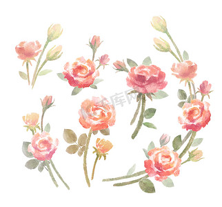 水彩玫瑰花束组合物，孤立的剪贴画
