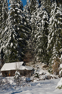 荒野中的小木屋覆盖着新雪