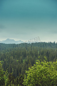 轻雾摄影照片_山的美丽风景与轻雾