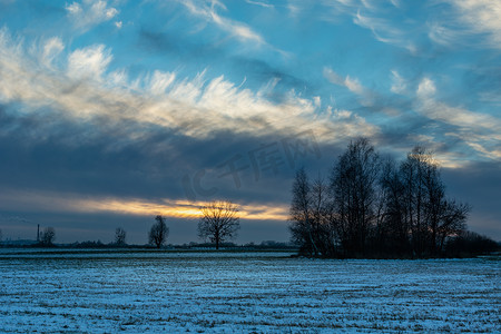冬日傍晚的抽象云彩和田野中的树木