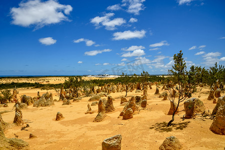 西澳大利亚尖峰石阵沙漠著名的直立岩层