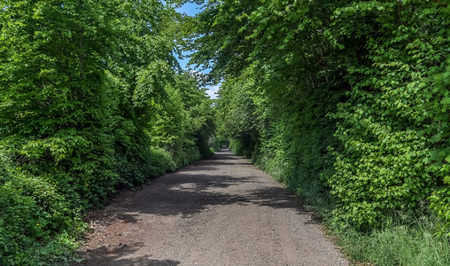 乡村道路上的美丽景色，也没有田野和树木