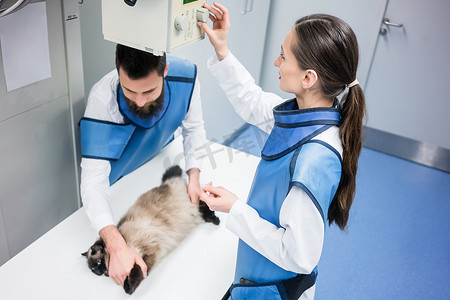 兽医在有猫的 X 光室里