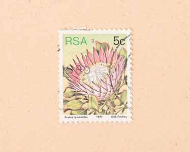 南非 — 1977 年左右：南非印制的一张邮票显示