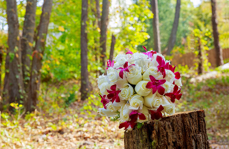花好月圆夜摄影照片_与白色兰花、玫瑰的婚礼新娘花束