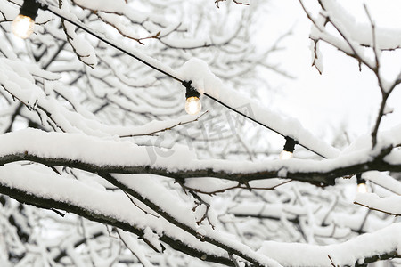 雪下灯笼摄影照片_天空的衬托下是一棵被雪覆盖的树和一个由灯泡组成的街道花环。