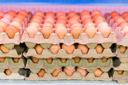 过年包装设计摄影照片_超市货架上各种品牌的鸡蛋包装