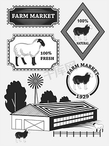 一套优质羊肉标签、羊肉、徽章和设计元素。
