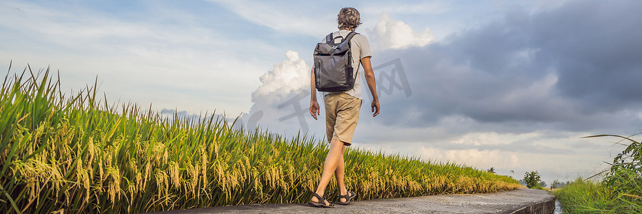 横幅旅行摄影照片_背着背包的男游客走在稻田横幅上，长格式