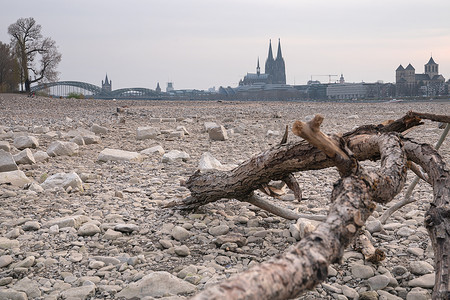 德国干旱，莱茵河水位低