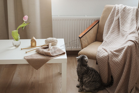 舒适的家居室内装饰，配有椅子、格子花呢、桌子和带线、米色纱线的织针