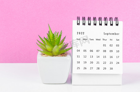 2022 年 9 月的台历，上面有粉红色背景的花盆。