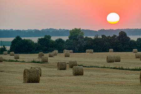 夏日傍晚收获干草的田野风景优美，太阳的红盘滚动着植树。