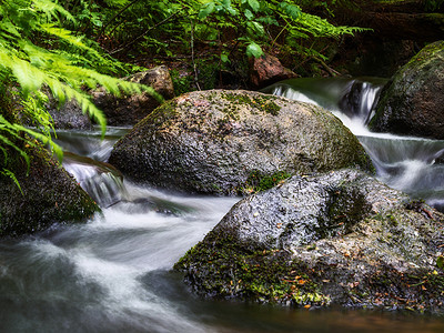 缓缓水流摄影照片_林间小河溪水缓缓流淌。