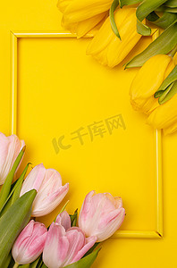 郁金香和黄色背景上的框架。 