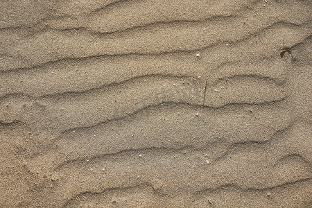 被风吹平的沙子的质感#11