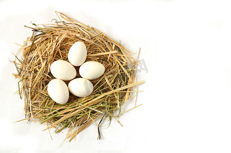 干草窝里的鸡蛋，不同概念的白蛋图片，鸡窝里的鸡蛋图片