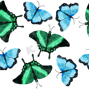 水彩手绘无缝图案与蝴蝶蜻蜓蛾昆虫。