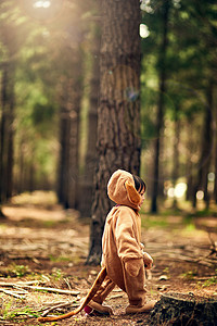 当你今天走进树林时……一个小女孩打扮成熊穿过森林的镜头。