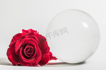 爱情人节背景红玫瑰与水晶球。