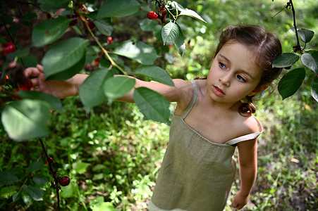 一个穿着亚麻裙的可爱女孩在果园里采摘樱桃的头像