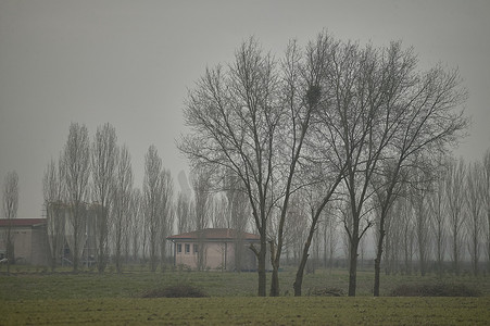 迷雾灰色摄影照片_意大利波河谷的冬天。