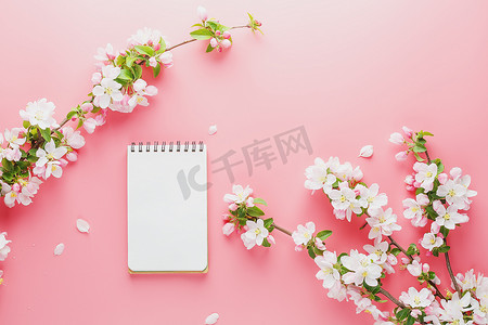 粉红色背景上盛开的春天樱花，带有记事本空间，用于问候消息。