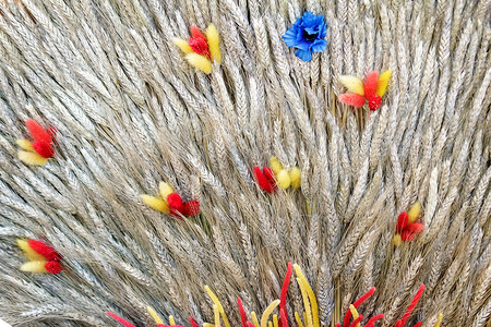 人造花和玉米穗的装饰。