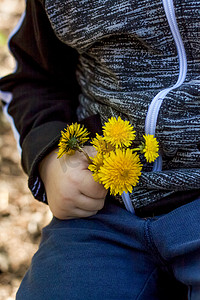 孩子手中的黄色蒲公英花。