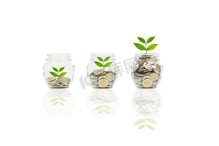 硬币和瓶中植物、商业投资增长和储蓄