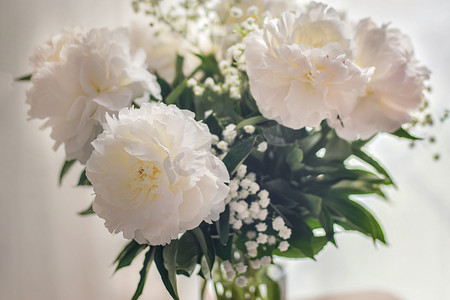 花瓶中的牡丹花摄影照片_白色背景花瓶中的白牡丹花