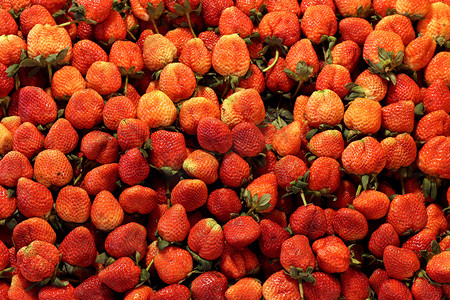 草莓新鲜背景图案、草莓市场农场、红粉色草莓