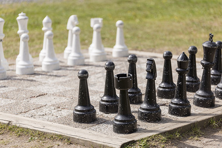 国际象棋草坪游戏