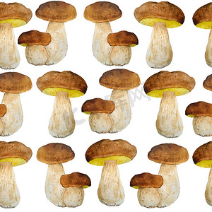 美味插图摄影照片_手绘水彩无缝图案插图 porcini cep 食用牛肝菌蘑菇。