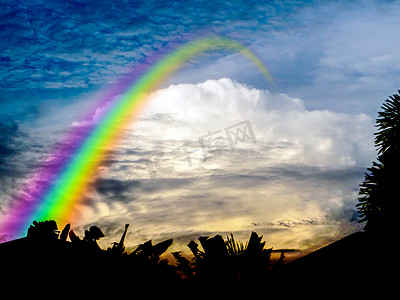 上帝的彩虹从天堂剪影树