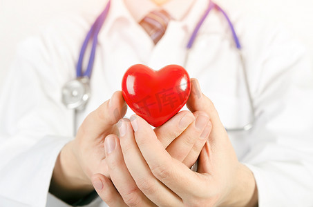 心脏病专家拿着心脏 3D 模型