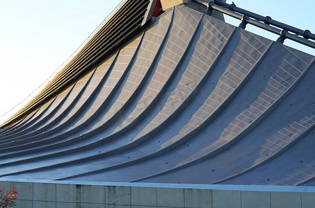 屋顶摄影照片_日本东京代代木国立体育馆自由形状屋顶