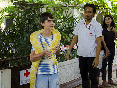 2014年4月6日在泰国曼谷泰国红十字蛇养殖场举行的蛇展