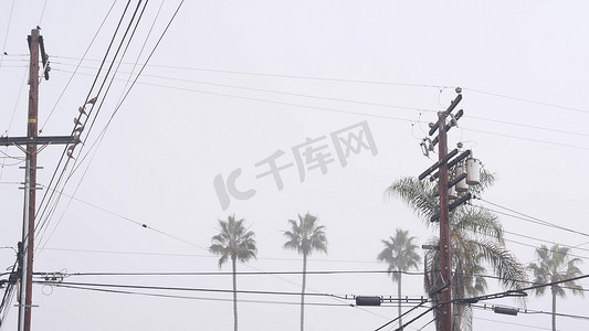雾蒙蒙的天气中的棕榈树，电力线上的鸟类，加利福尼亚城市街道。