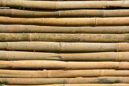 竹子文化摄影照片_竹子纹理和背景