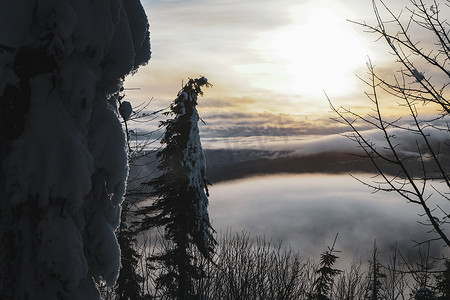 冬天山上森林里夕阳下的雪树和低云
