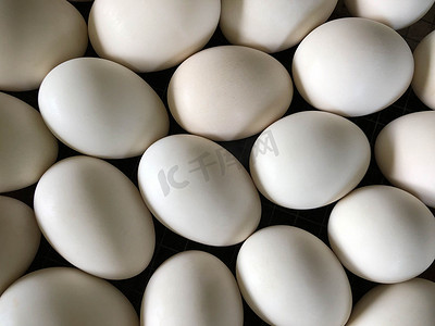 生鸭蛋摄影照片_白鸭蛋在板木里