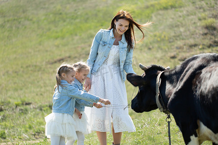 年轻的母亲和她的双胞胎女儿在村里的草地上喂养一头黑牛