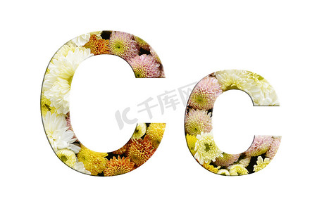 字母 C 和 c，白色背景上花朵的孤立字母