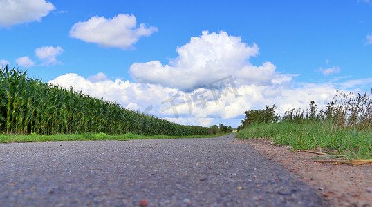 乡村道路上的美丽景色，也没有田野和树木