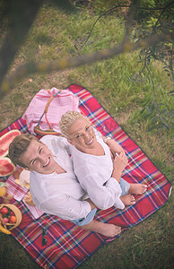 时间的朋友摄影照片_享受野餐时间的夫妇的顶视图